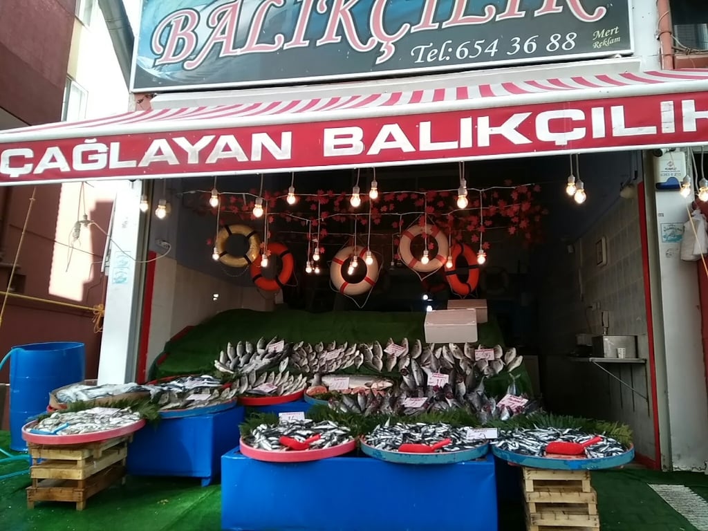 Çağlayan Balıkçılık