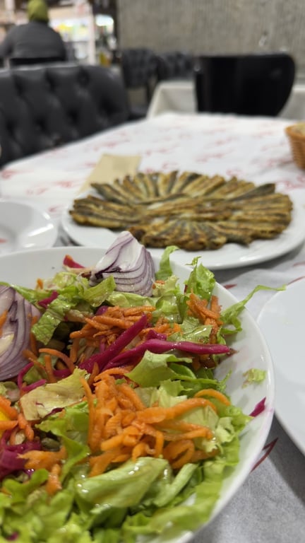 Faroz Balıkçı