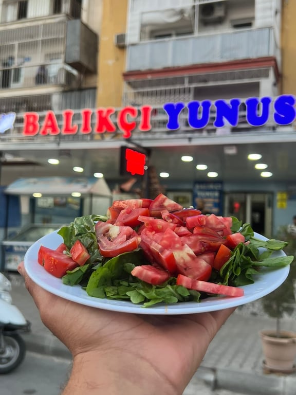Balıkçı Yunus