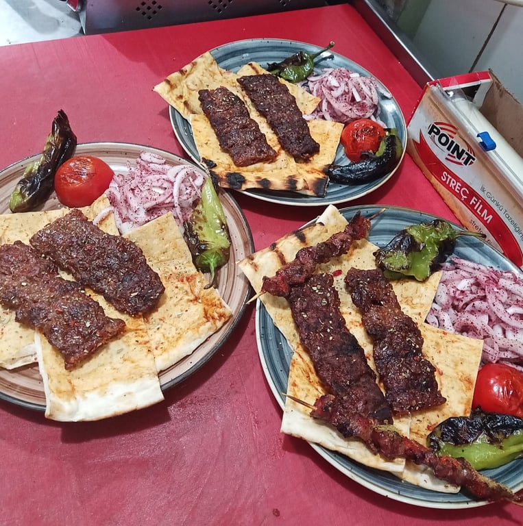 Hisar Izgara