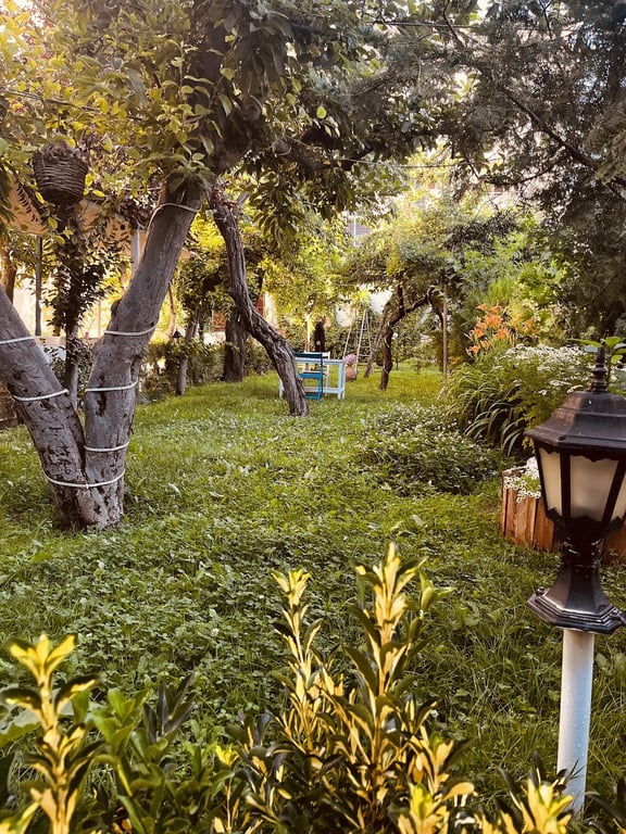 Leyla'nın Yemek Dünyası