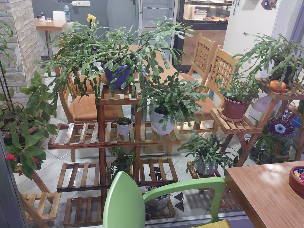 Ela Cafe&Pastane