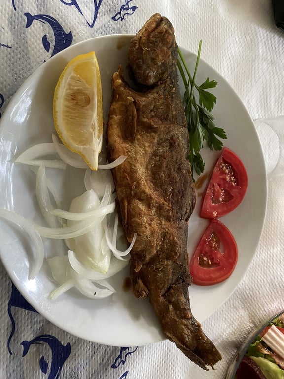 Şahin Alabalık Tesisleri Şube-1