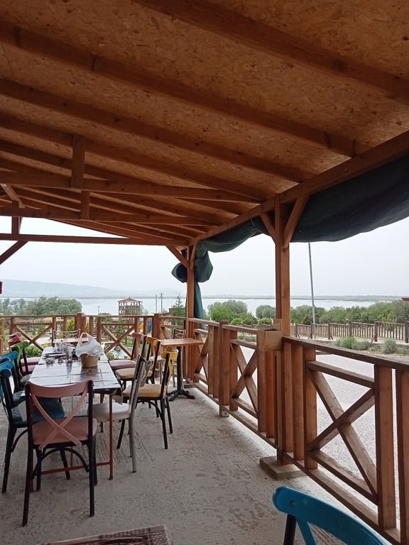Işıklı gölü Nilüfer çiçekleri tekne turları,BALIK-PİZZA KAFE RESTORAN ve doğal park