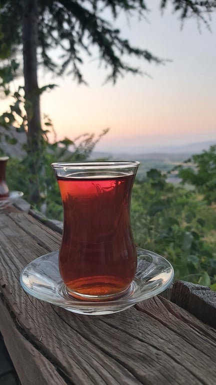 Mekan Çınaraltı Restoran Lokanta