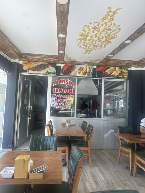 Tantunici Ali Usta
