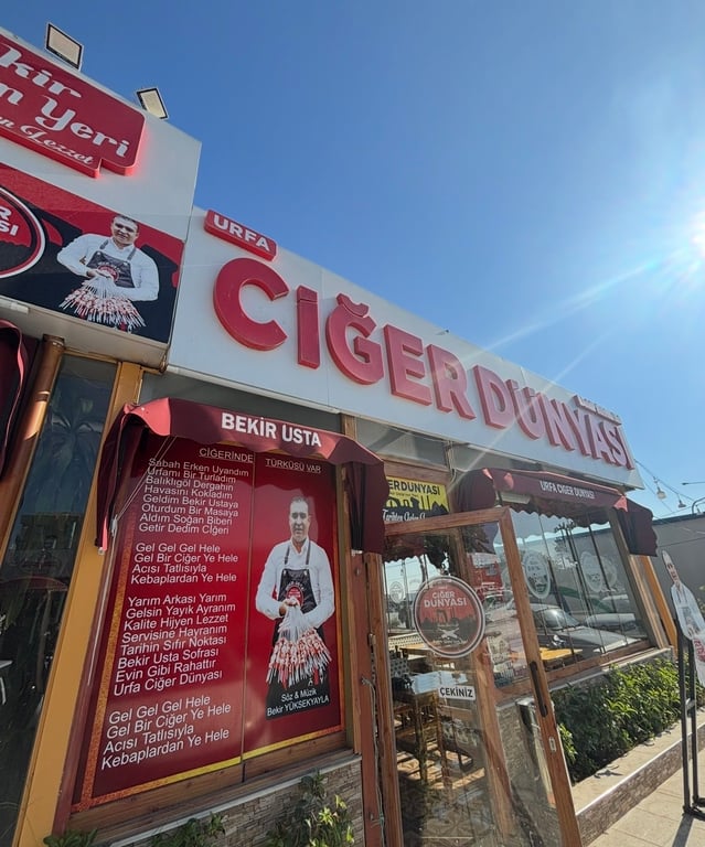 Ciğer Dünyası