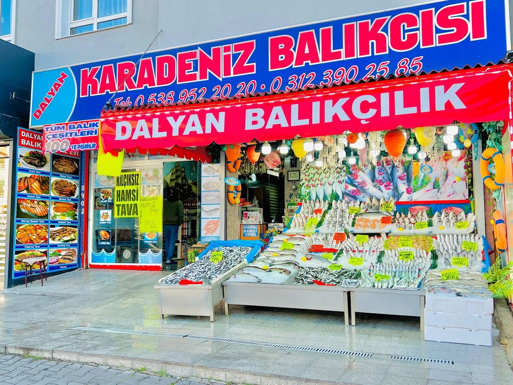 Dalyan Karadeniz Balıkçısı