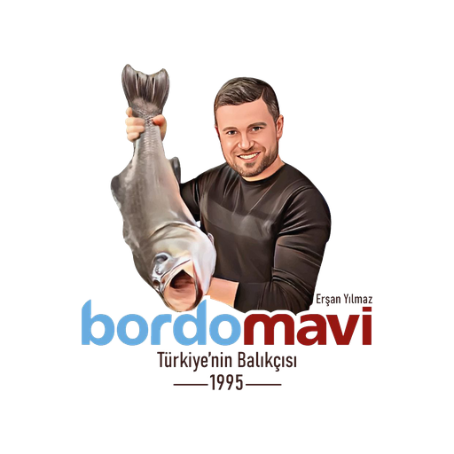 Bordo Mavi Balık