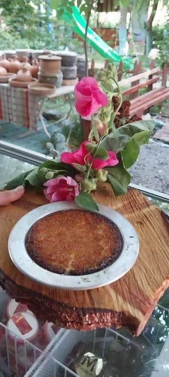Saklıbahçe Tesisleri