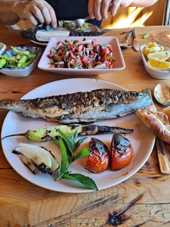 Narlı Tepe Et ve Balık Aile Restorantı