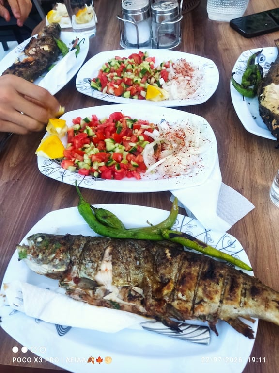 Kanisipi Alabalık Dinlenme Tesisi