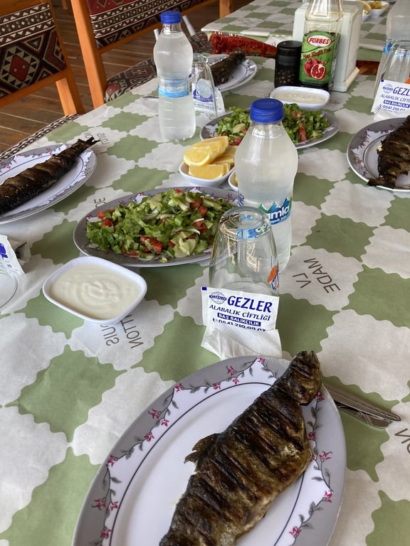 Gezler Alabalık