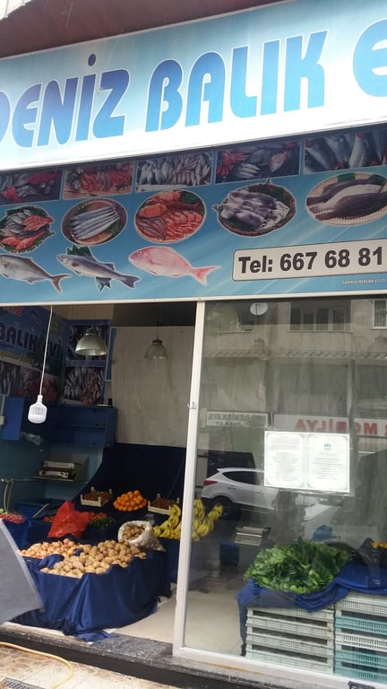 Balıkçı Mavideniz