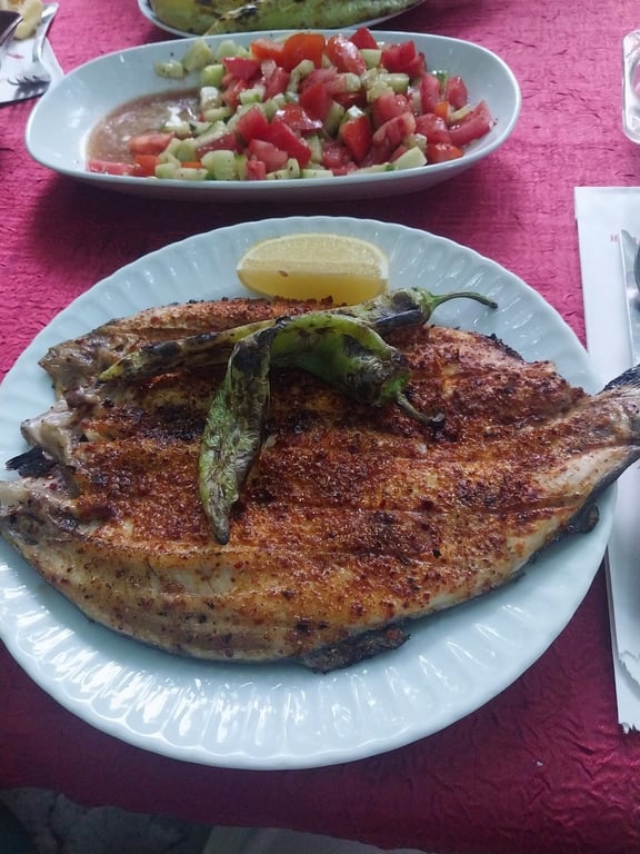 Perili Bahçe - Uğur Alabalık Tesisi