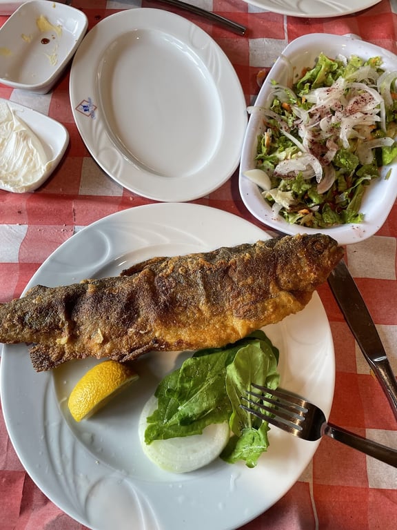 Karacasu Alabalık