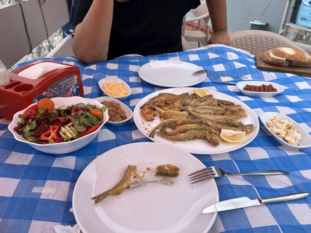 Rota Balık
