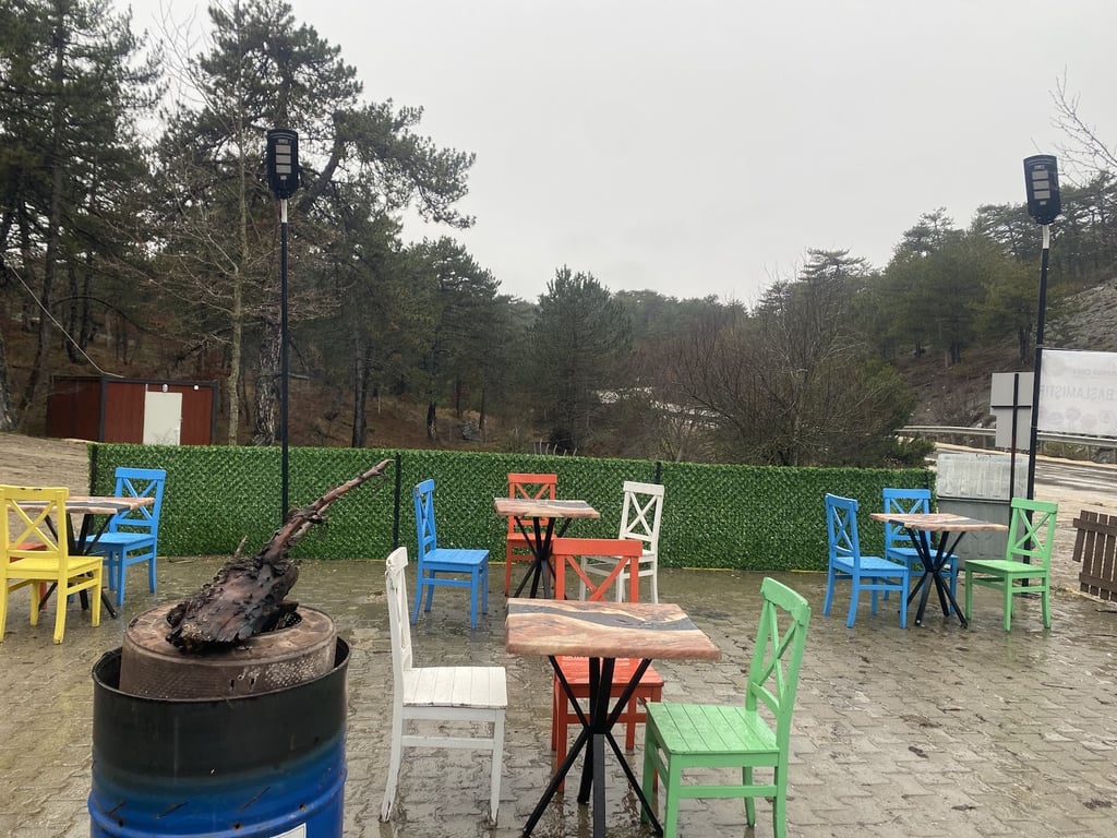 Orman Cafe Kır Lokantası & Et Mangal