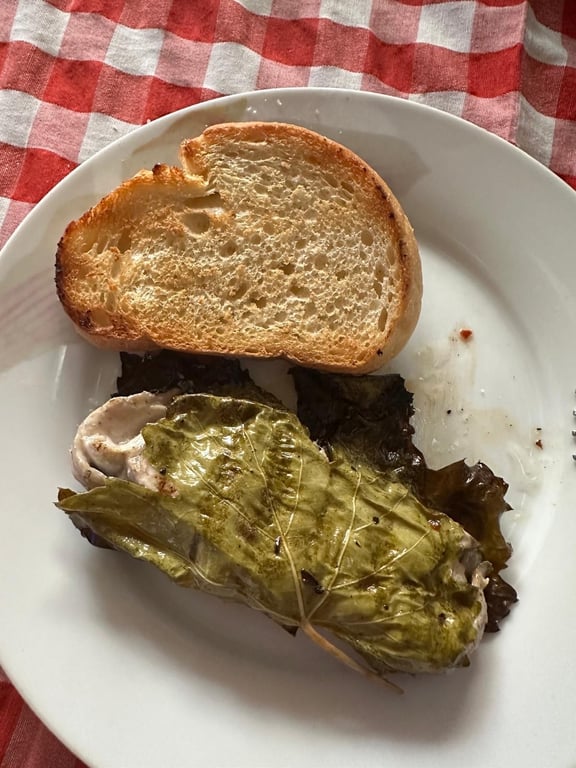 Şen Balıkçı