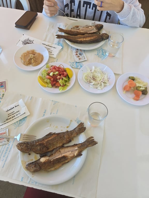 İnci Alabalık Tesisi