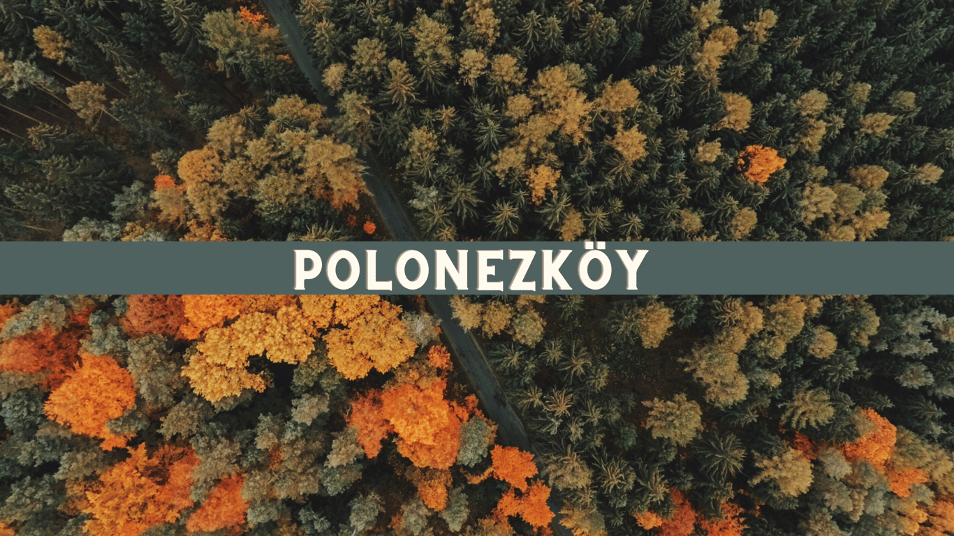 Titelbild für Polonezköy Reiseführer