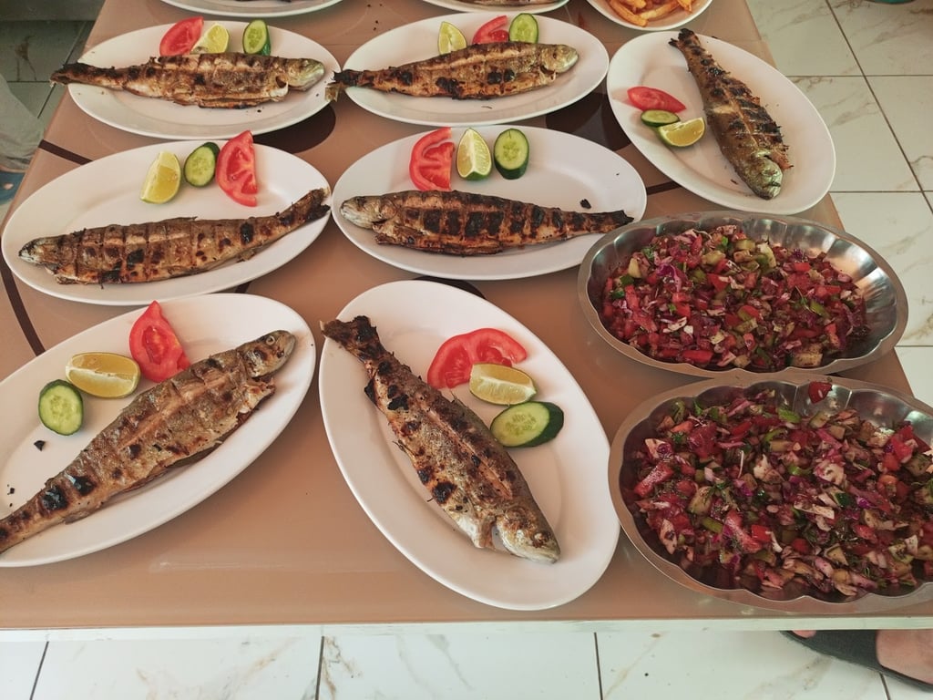 Samyeli Canli Alabalık Restaurant Kamil in Yeri