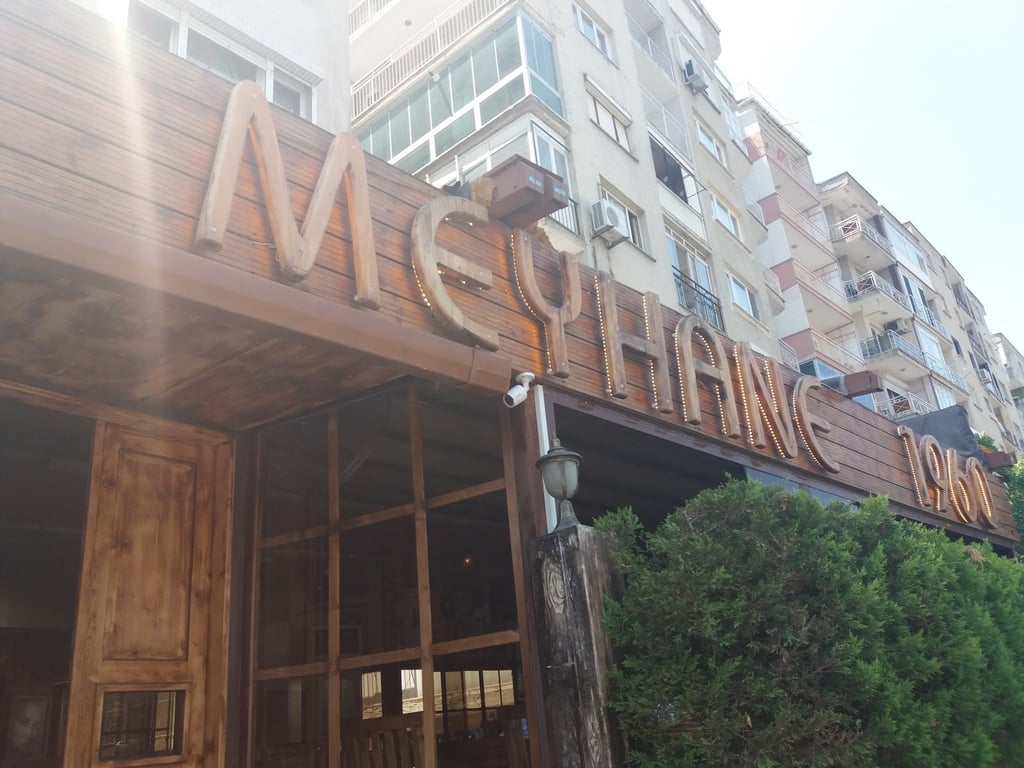 Meyhane 1960 Aşık Veysel