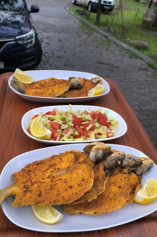 Bozdağ Alabalık Tesisleri