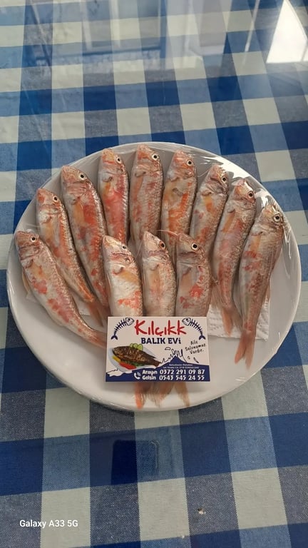 Kılçıkk Balık Restaurant (Aytekin Şahin)