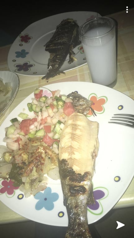 Akdağ Alabalık