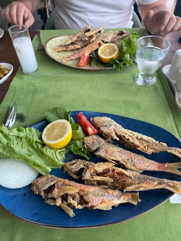 Altınoluk Balıkçısı