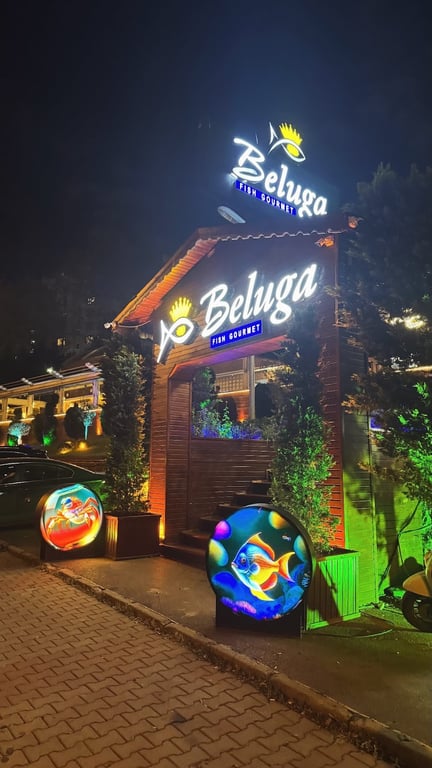 Beluga Balik