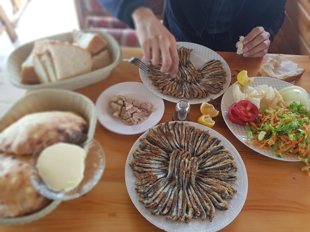 Hamsi Balık