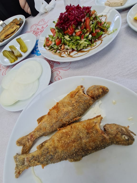 Avcı Alabalık Su Ürünleri Dinlenme Tesisleri