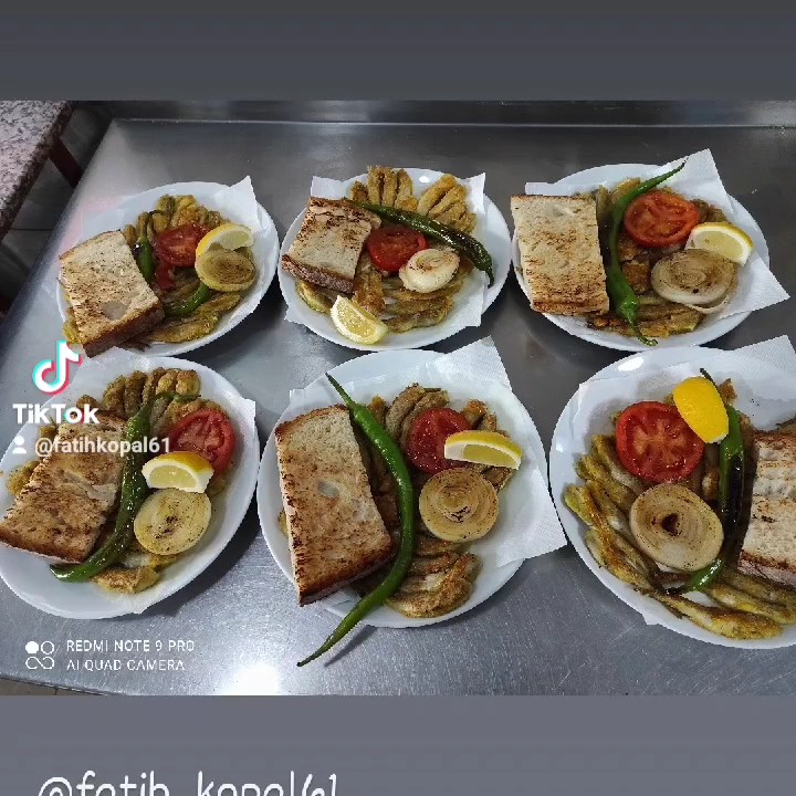 Yoroz Kõfte Balık Tır Dinlenme Tesisleri