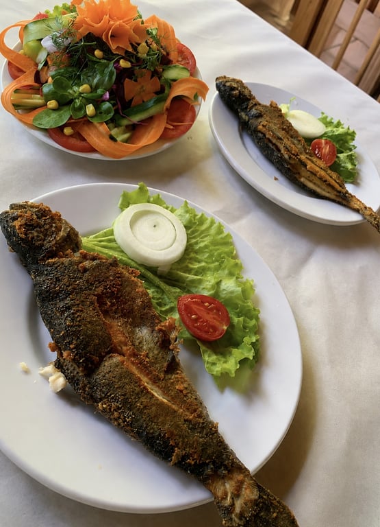 Sipahiler Köroğlu Alabalık Tesisi