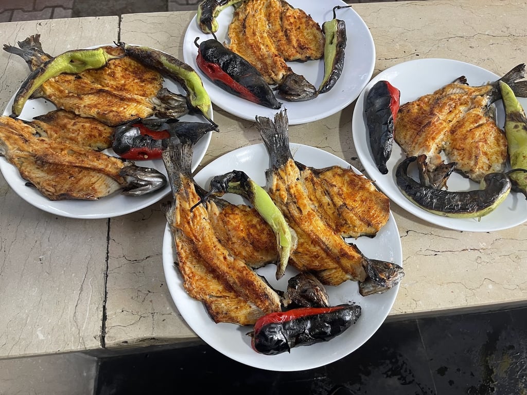 Balık Tesisi