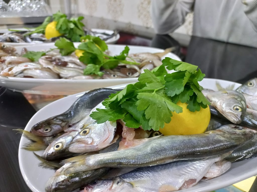 Sahilli Hasan Ustanın Yeri
