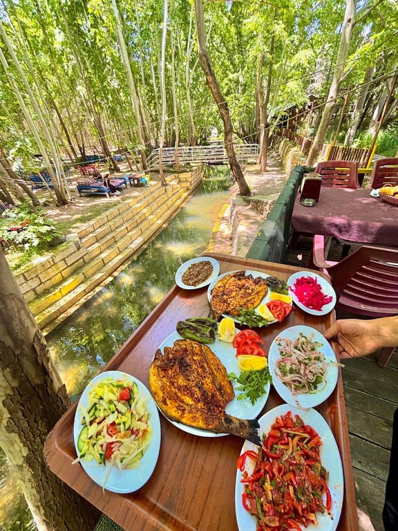 Barış’ın Yeri Cafe Restaurant Dinlenme Tesisi
