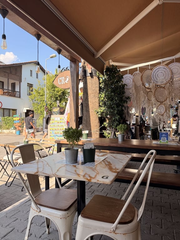 Gülbeyaz Balık