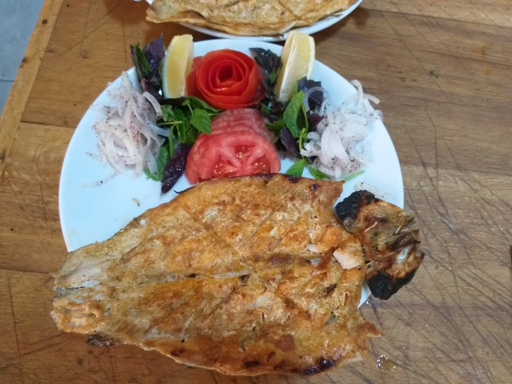 Çırağan Çat Barajı Tesisleri