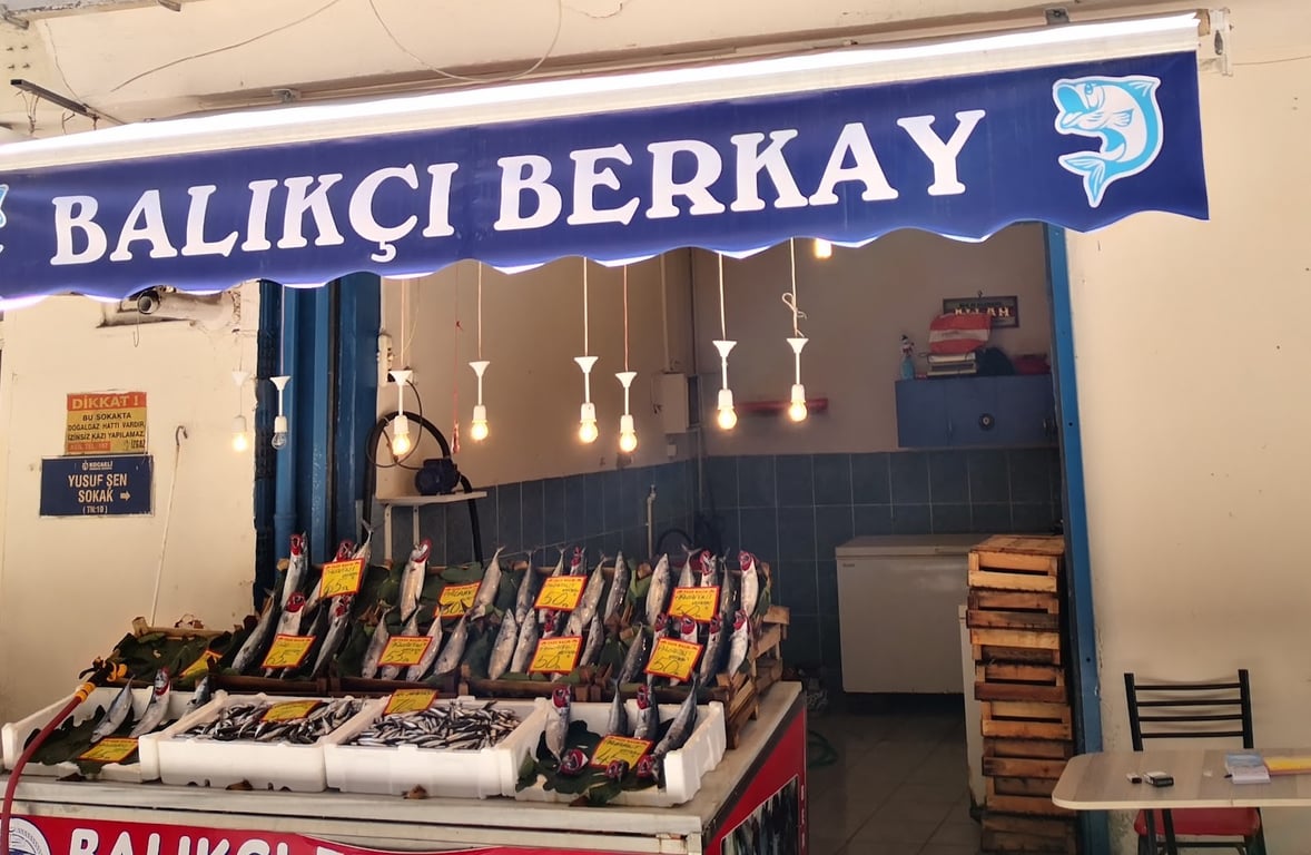 Balıkçı Berkay — Foto 1