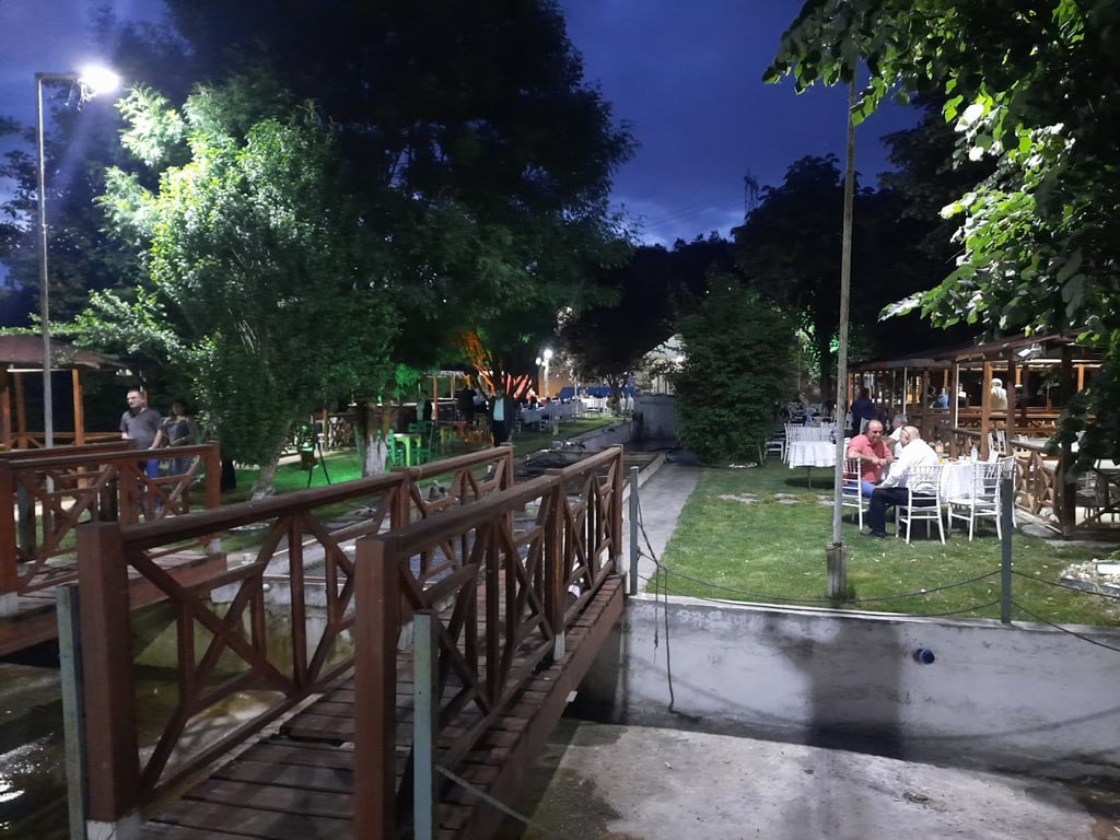 Vadizmit Canlı Alabalık Tesisi