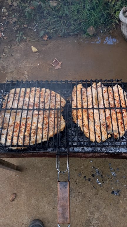 Gülyazıköyü Canlı Alabalık ve Piknik Alanı