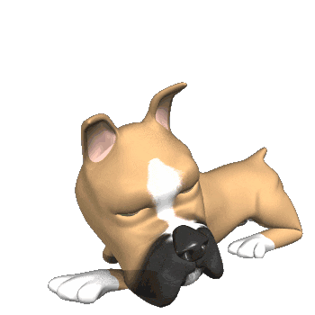 מרכז וטרינרי במרכז ראשון לציון - ד״ר טינה וד״ר גיא אוהב-שלום​