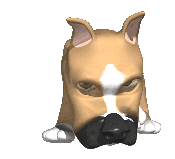 מרכז וטרינרי במרכז ראשון לציון - ד״ר טינה וד״ר גיא אוהב-שלום​