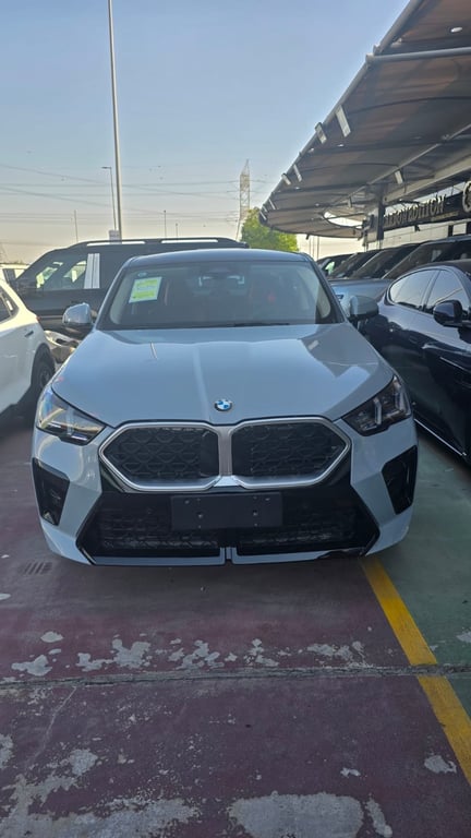 2026 BMW X2 - pre-purchase inspection