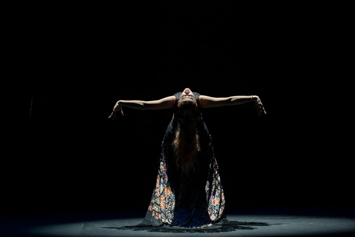 Flamenco Suite