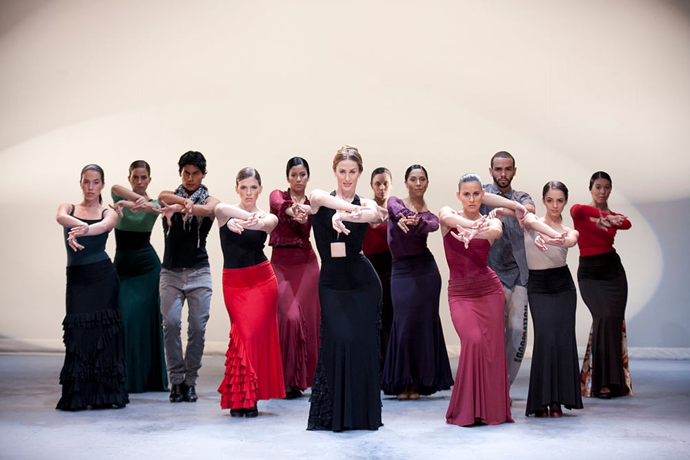 Siudy Flamenco On-Demand Courses
