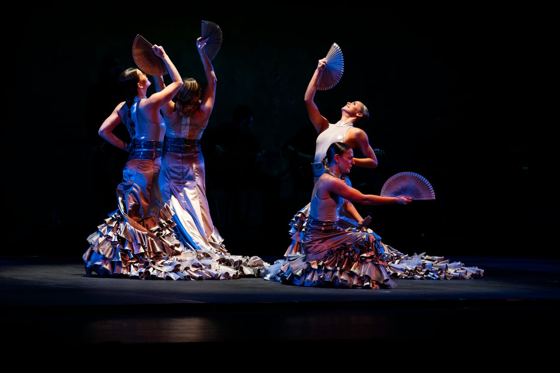 Bailaora, Mis Pies Son Mi Voz